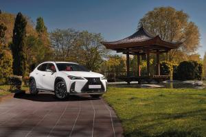 2019 Lexus UX250h F-Sport Engawa